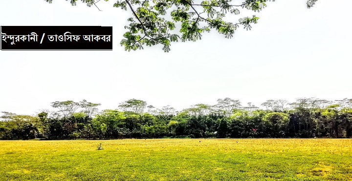 161814786_501792411225874_4725487281741660712_n