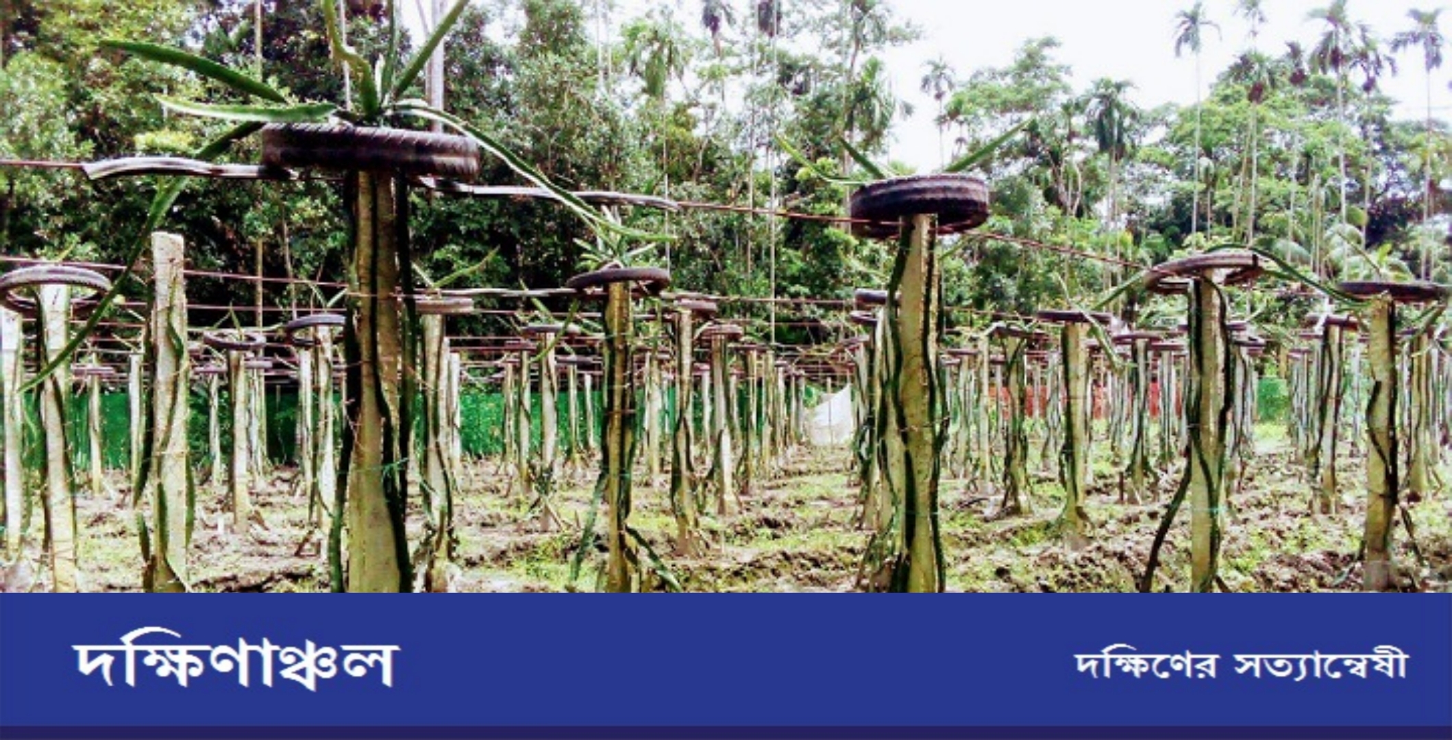 PicsArt_10-10-09.29.01