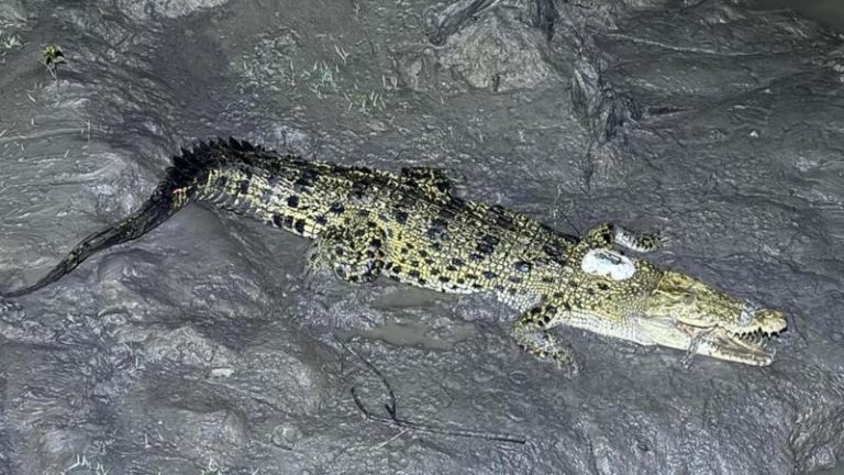 ছবিঃ বিবিসি